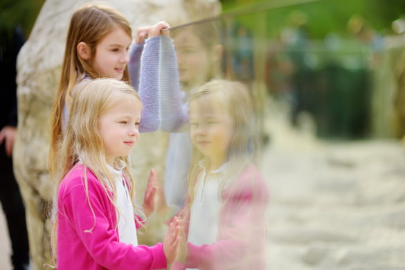 school trip to the zoo